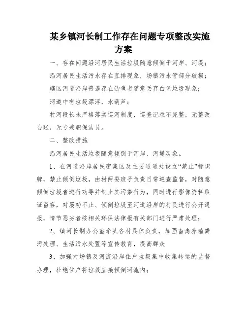 某乡镇河长制工作存在问题专项整改实施方案