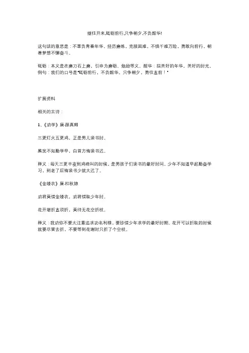 继往开来,砥砺前行,只争朝夕,不负韶华!