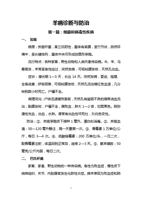 羊病诊断与防治
