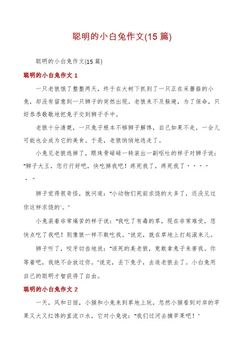 聪明的小白兔作文(15篇)
