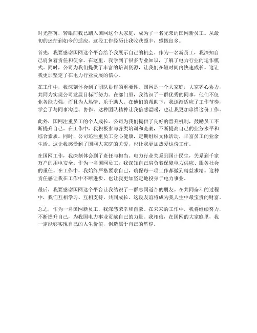 国网新员工参加工作感想