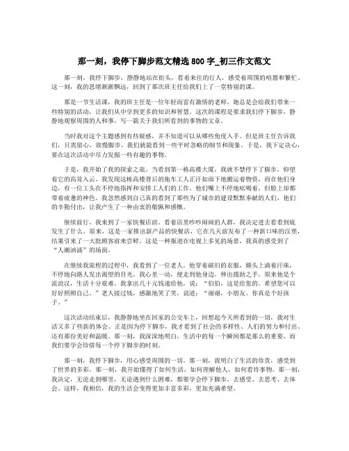 那一刻,我停下脚步范文精选800字_初三作文范文