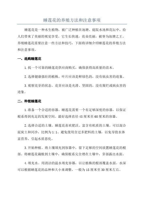 睡莲花的养殖方法和注意事项