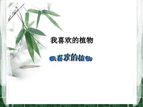 竹子的课件