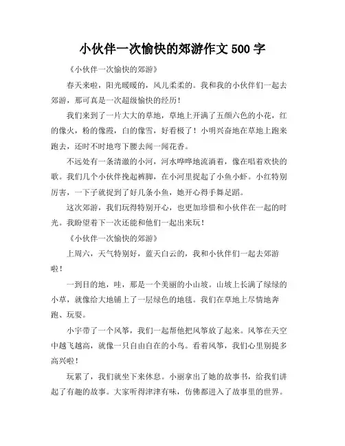 小伙伴一次愉快的郊游作文500字