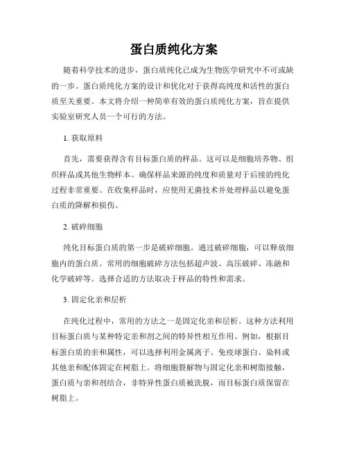 蛋白质纯化方案