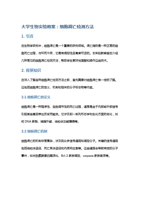 大学生物实验教案：细胞凋亡检测方法
