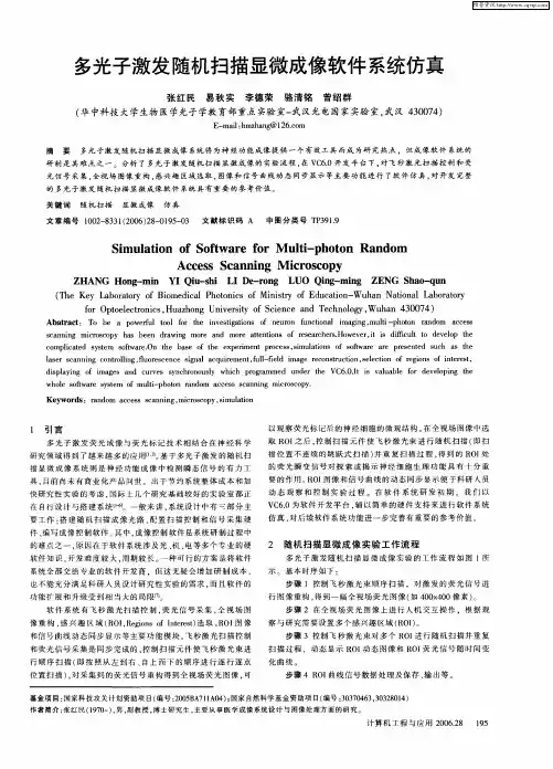 多光子激发随机扫描显微成像软件系统仿真