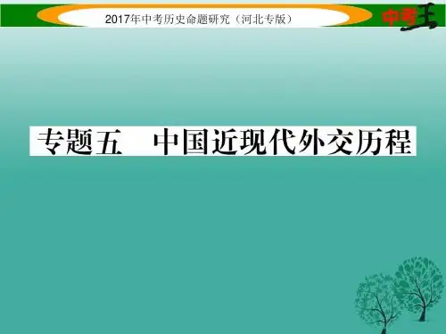 中考历史总复习 热点专题速查 专题五 中国近现代外交历程课件