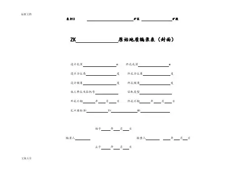 钻孔编录表格(全)