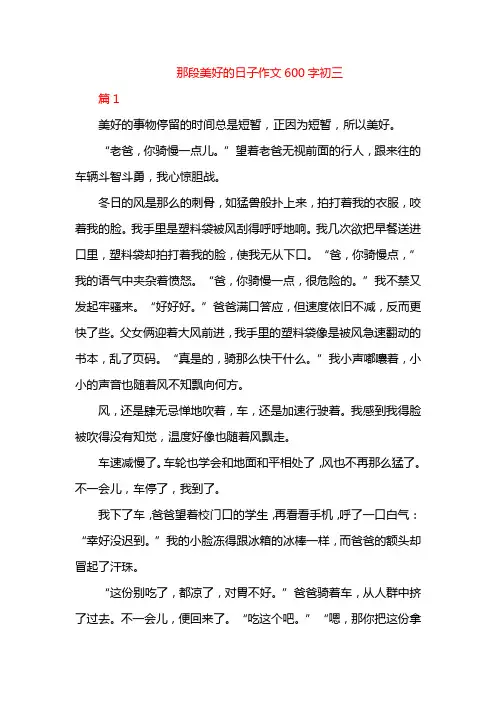 那段美好的日子作文600字初三
