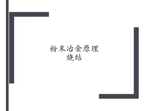 粉末冶金原理-烧结