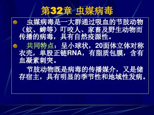 二十三虫媒病毒和出血热病毒二十四人类疱疹病毒PPT课件