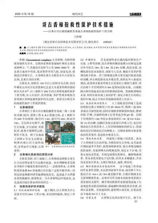 谈古香樟抢救性保护技术措施——以黄石市反腐倡廉教育基地古香樟抢救性保护工程为例