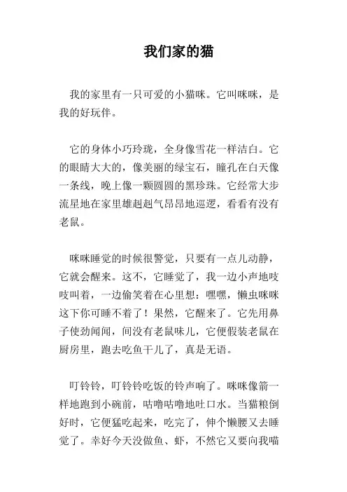 我们家的猫