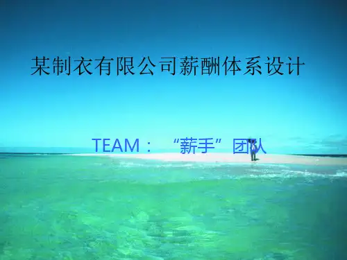 某公司薪酬体系设计PPT