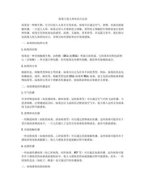 病毒入侵人体知识点总结