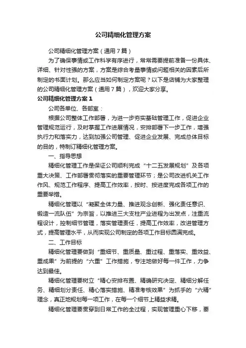 公司精细化管理方案
