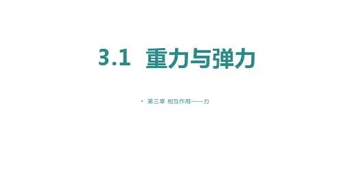 重力与弹力课件