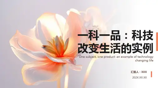一科一品优质护理ppt汇报