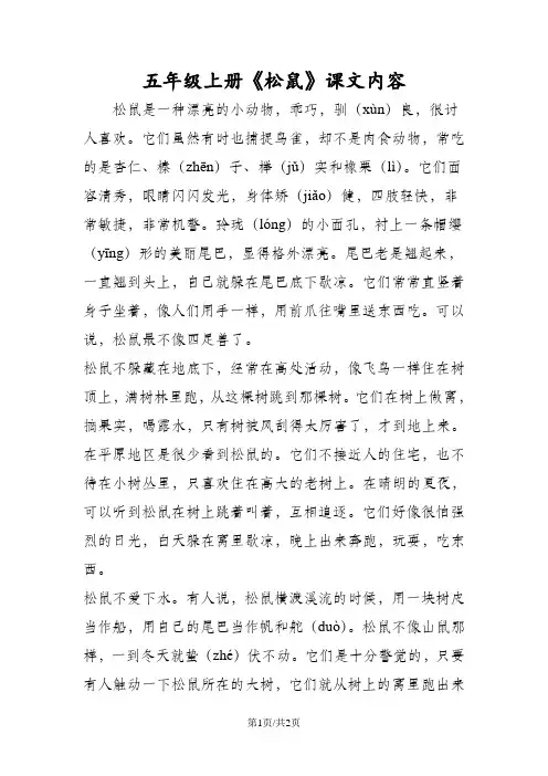 五年级语文上册《松鼠》课文内容
