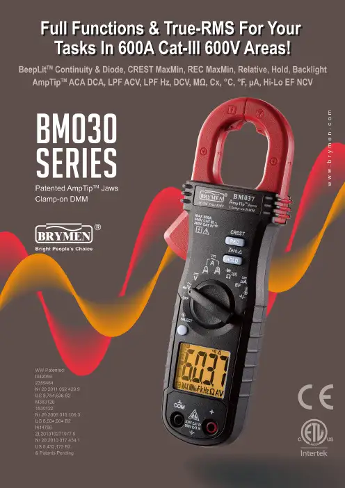Fluke 600A AC DC Clamp Meter 说明书