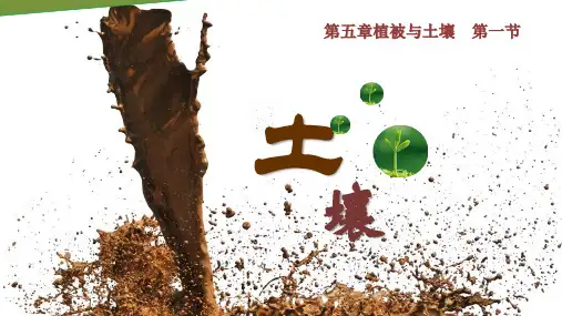 2017新课标  人教版高一地理 必修一 第五章第二节  土壤