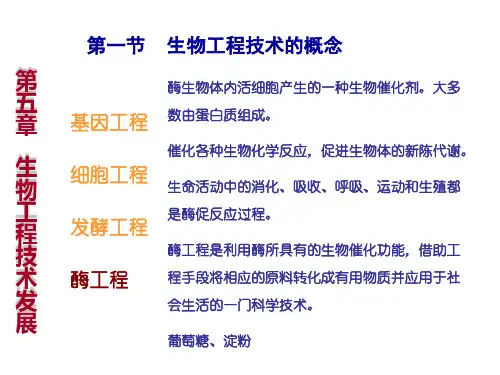 第一节生物工程技术的概念