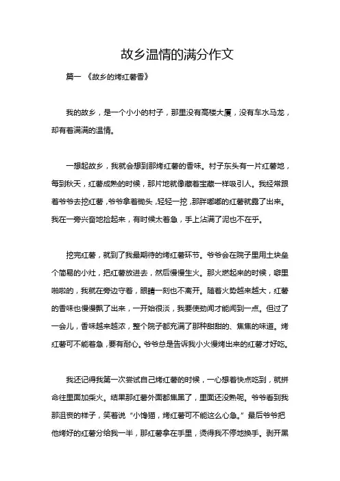 故乡温情的满分作文