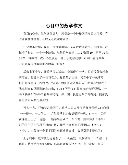 心目中的数学作文