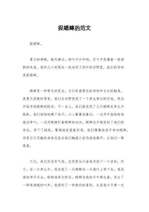 捉蟋蟀的范文