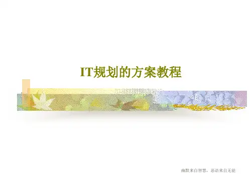 IT规划的方案教程共37页PPT