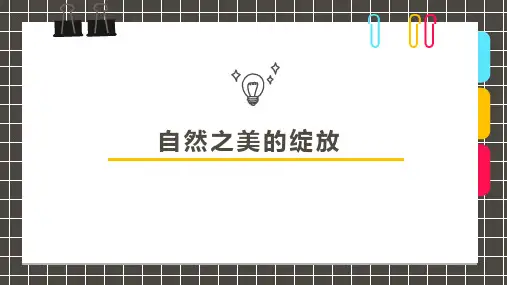 《荷花》幼儿园小学少儿美术教育绘画课件创意手工教程教案PPT模板