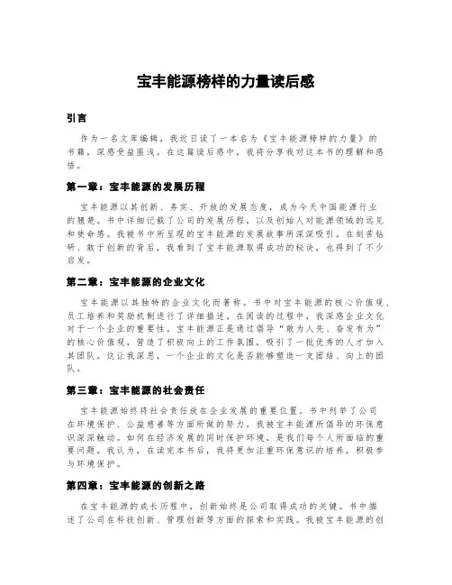 宝丰能源榜样的力量读后感300字