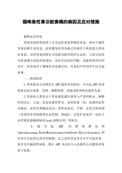 猫咪急性肾功能衰竭的病因及应对措施