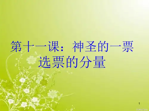 《神圣的一票》