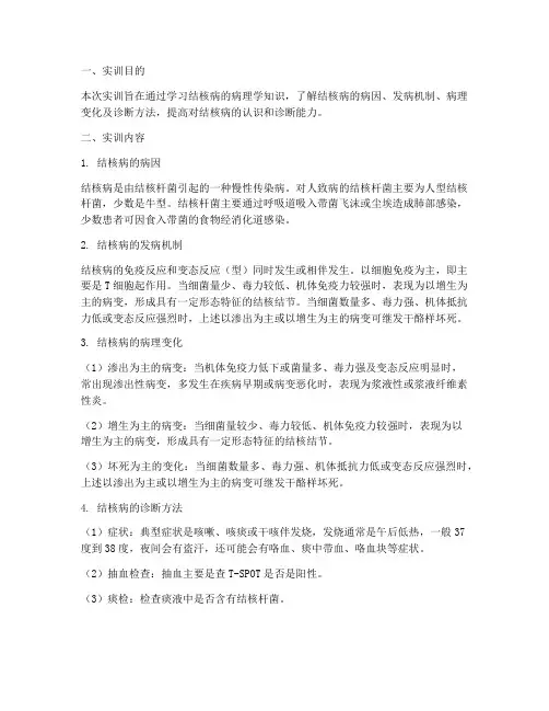 病理学结核病实训报告