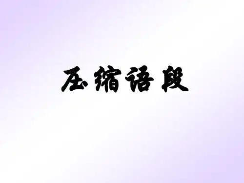 压缩语段之下定义