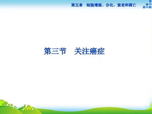 高中生物苏教版必修1课件：第五章第三节关注癌症