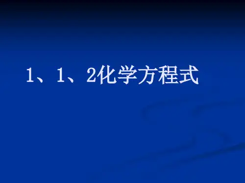化学方程式(PPT课件(初中科学)11张)