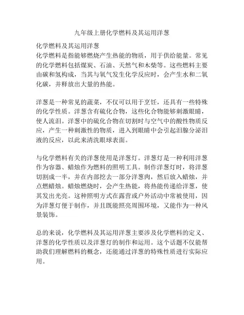 九年级上册化学燃料及其运用洋葱