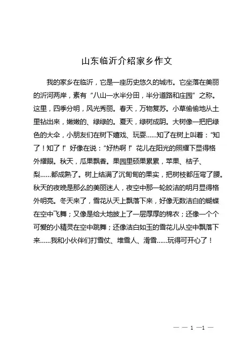 山东临沂介绍家乡作文