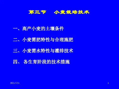 小麦栽培技术PPT课件