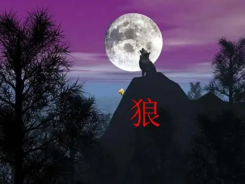 人教部编版语文七年级上册第20课《狼