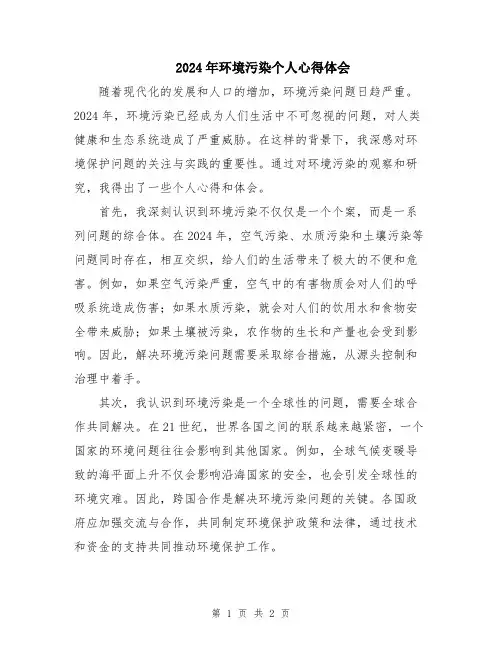 2024年环境污染个人心得体会