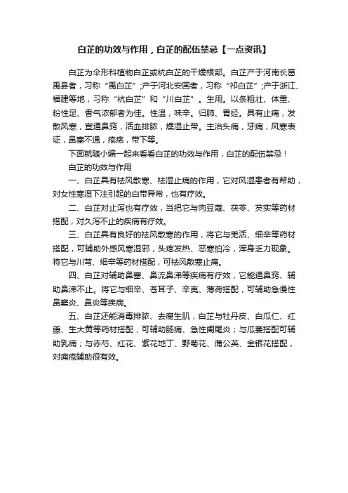 白芷的功效与作用，白芷的配伍禁忌【一点资讯】