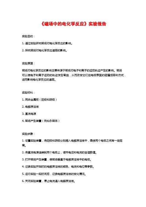 《磁场中的电化学反应》实验报告