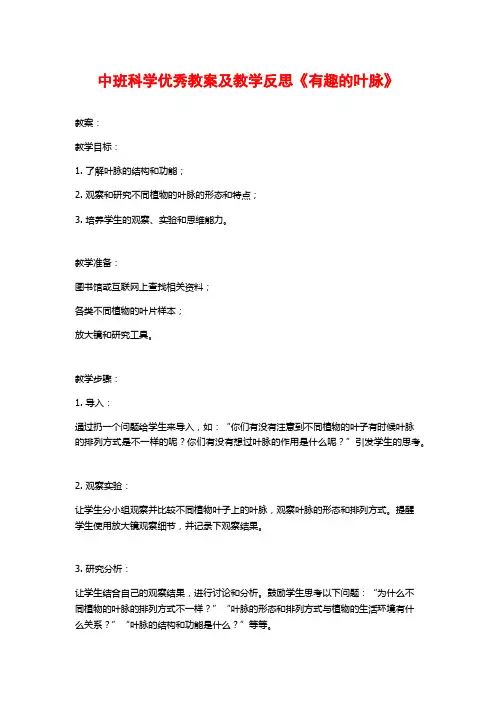 中班科学优秀教案及教学反思《有趣的叶脉》