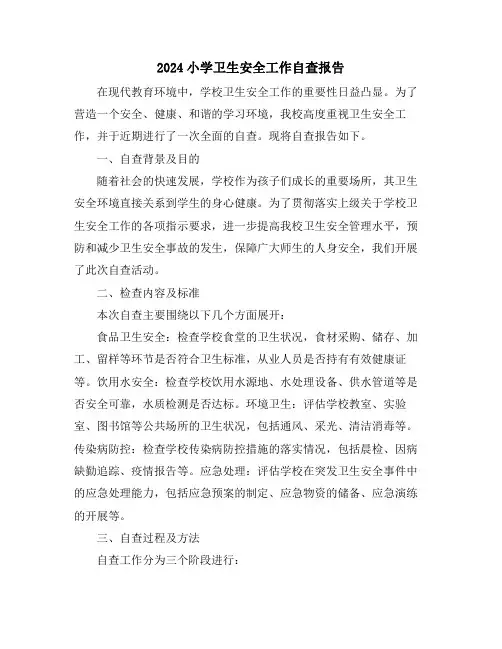 2024小学卫生安全工作自查报告