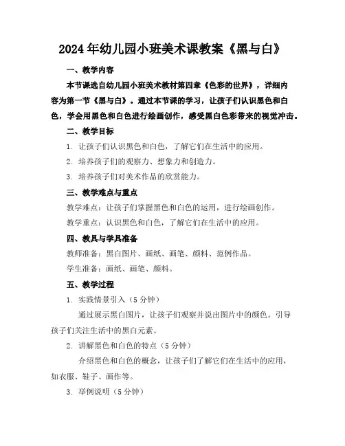2024年幼儿园小班美术课教案《黑与白》